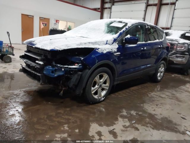 Ford Escape Se Image 3