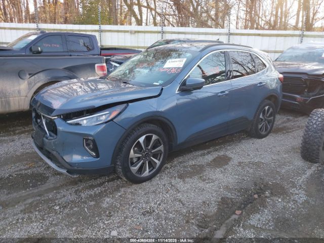 Ford Escape Platinum Image 8