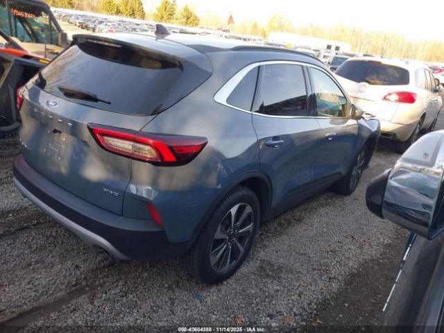 Ford Escape Platinum Image 19