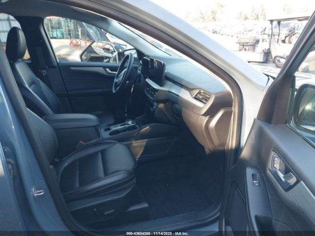 Ford Escape Platinum Image 4