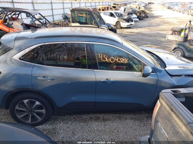 Ford Escape Platinum Image 9