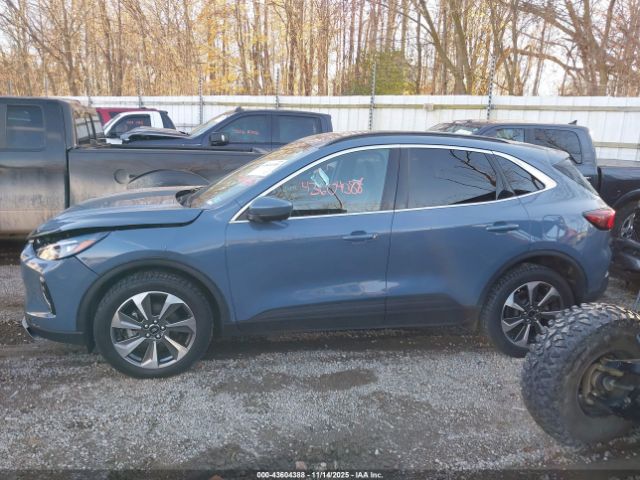 Ford Escape Platinum Image 11