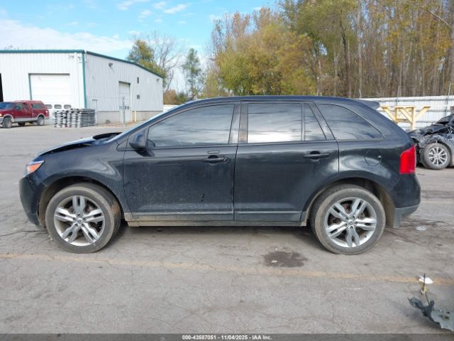 Ford Edge Sel Image 13