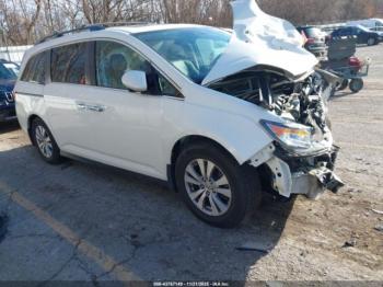  Salvage Honda Odyssey