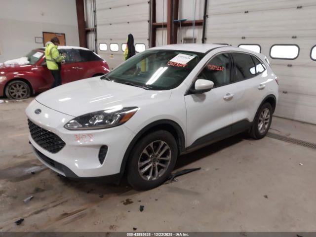 Ford Escape Se Image 8