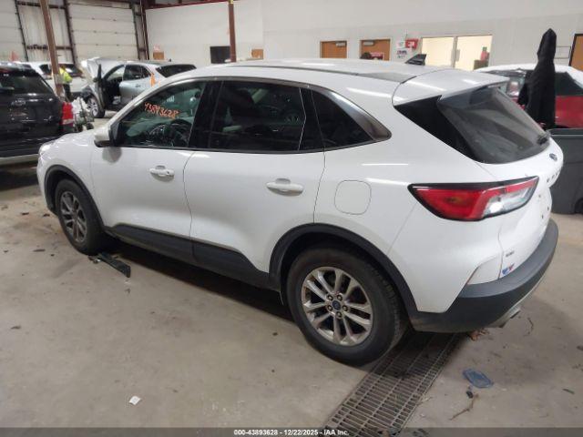 Ford Escape Se Image 4