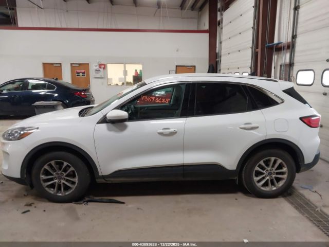 Ford Escape Se Image 5