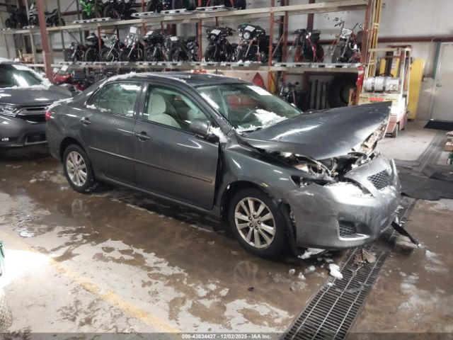 Toyota Corolla Le Image 1