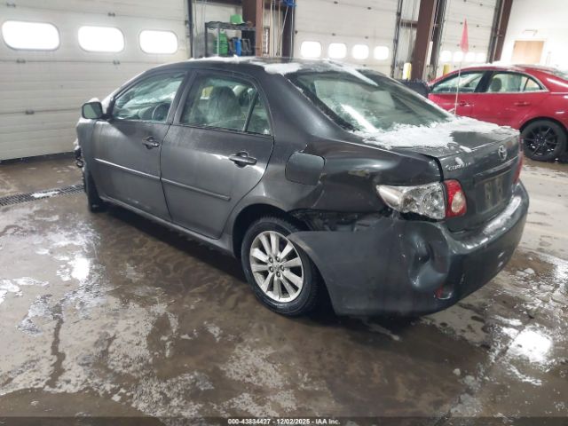 Toyota Corolla Le Image 3