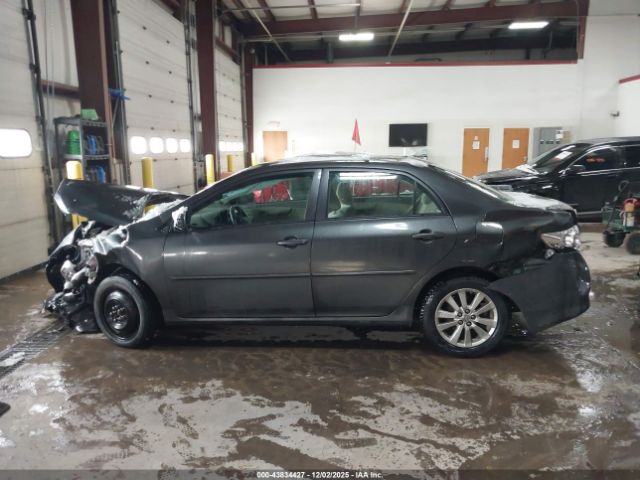 Toyota Corolla Le Image 13