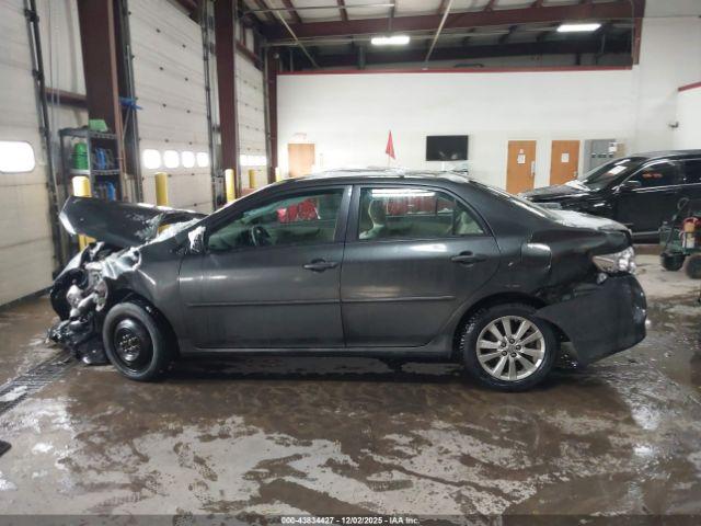 Toyota Corolla Le Image 13