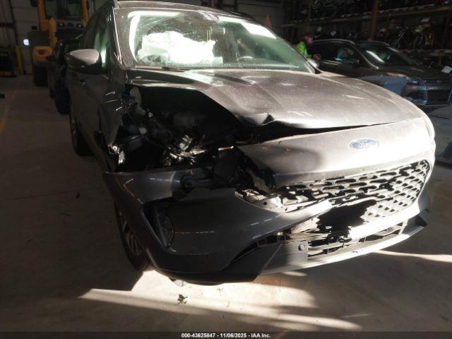 Ford Escape Titanium Image 16