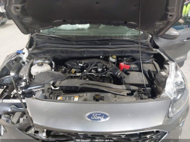 Ford Escape Titanium Image 5