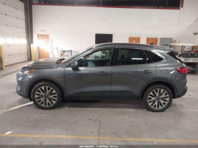 Ford Escape Titanium Image 11