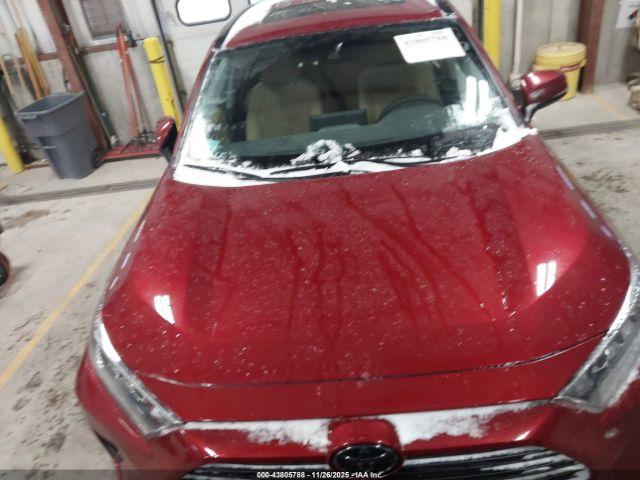 Toyota RAV4 Xle Image 13