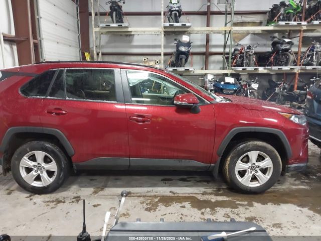 Toyota RAV4 Xle Image 12