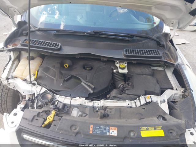 Ford Escape Se Image 7