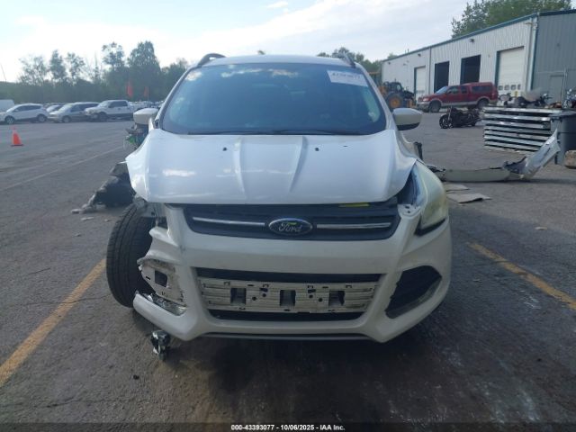 Ford Escape Se Image 9