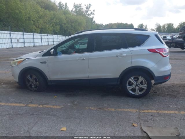 Ford Escape Se Image 13