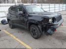 Jeep Renegade Trailhawk Image 1