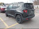 Jeep Renegade Trailhawk Image 9