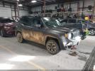 Jeep Renegade Trailhawk Image 1