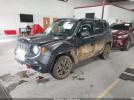 Jeep Renegade Trailhawk Image 2