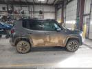 Jeep Renegade Trailhawk Image 8