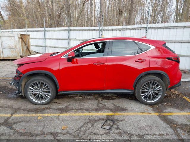 Lexus NX Luxury Image 13