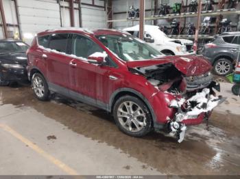  Salvage Ford Escape
