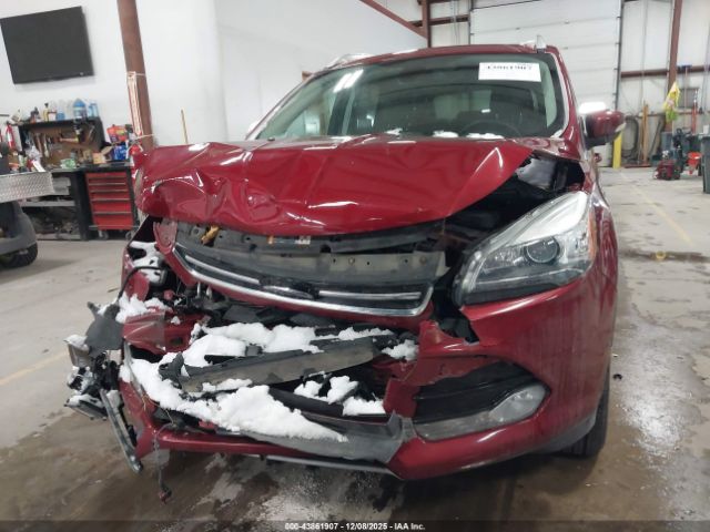 Ford Escape Titanium Image 13