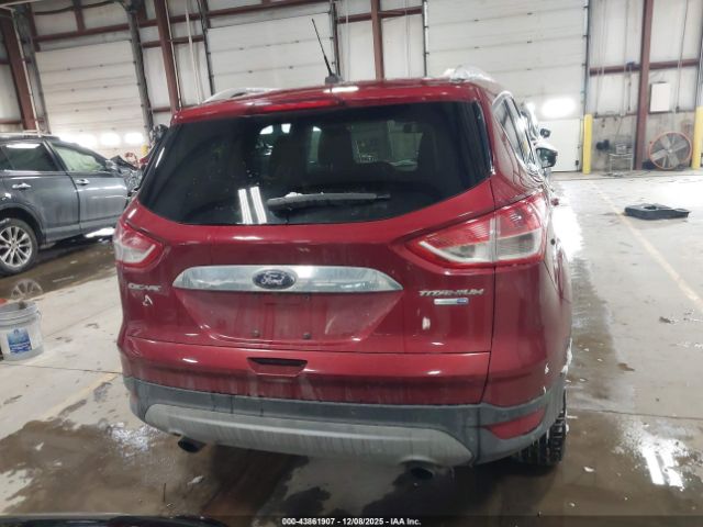 Ford Escape Titanium Image 3