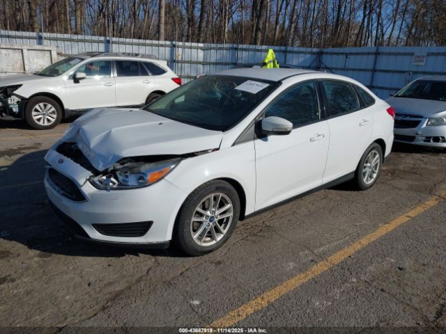 Ford Focus Se Image 3