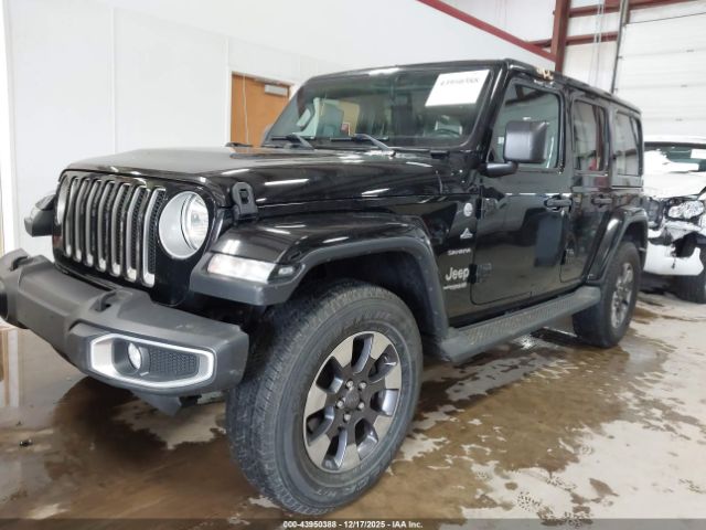 Jeep Wrangler Sahara Image 4