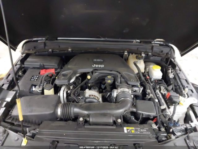 Jeep Wrangler Sahara Image 9