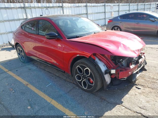 Ford Mustang Gt Image 1