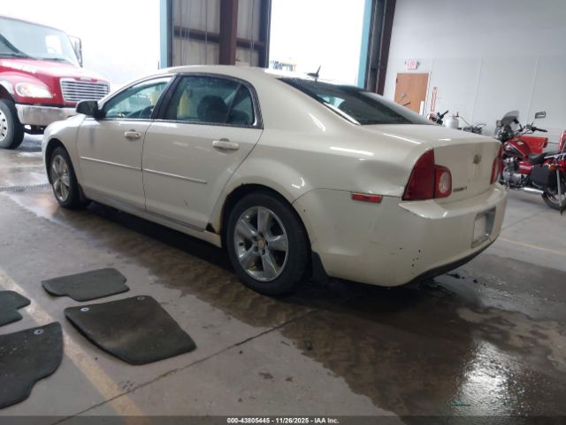 Chevrolet Malibu 1lt Image 4