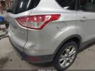 Ford Escape Sel Image 5